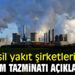 Çin’in Fosil Yakıt İklim Stratejisi: Gerçekler ve Sırlarla Dolu Bir Analiz