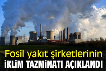 Çin’in Fosil Yakıt İklim Stratejisi: Gerçekler ve Sırlarla Dolu Bir Analiz
