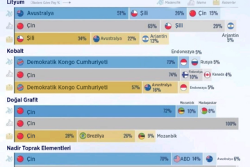 Kritik Mineraller Eylem Planı: ABD ve Meksika İşbirliğinde Yenilikler